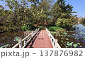 Walking across a bridge at Hlawga National Park in Myanmar 137876982