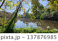 Jungle river in Myanmar 137876985