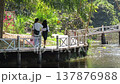 Hlawga National Park in Myanmar 137876988