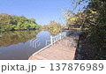 boardwalk walk next to lake hlawga myanmar 137876989