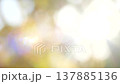 Defocused bokeh sunny nature abstract background, sun light with blurred leaves 137885136