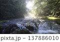 Beautiful rays of light captured at 5:30 AM in Kikuchi Valley, Kumamoto. The fantastical image of the rising sun and mist filtering through the forest is featured in this advertisement. 137886010