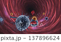 Microscopic Battleground: A detailed, close-up view reveals a vibrant microscopic battleground, where various cells interact and evolve within a biological environment. 137896624