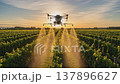 Precision Agriculture in Action: A drone systematically spraying crops in a vibrant green field, illuminated by the sun, showcasing innovation in agriculture 137896627