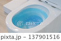 Flow of clear blue water in a white modern toilet. Close-up handheld shot, real time movement, artificial indoors light. 137901516