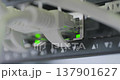Data center, network panel, switch and connected cables, blinking green lights. Close up handheld shot, real time motion, selective focus. 137901627
