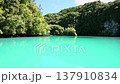 Milky white sea, Milky Way, Palau scenery Milky white sea, Milky Way, Palau scenery 137910834