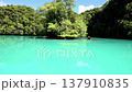 Milky white sea, Milky Way, Palau scenery Milky white sea, Milky Way, Palau scenery 137910835