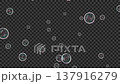 下から舞い上がりはじめる白色の小さいシャボン玉 アルファチャンネル　4K動画 137916279