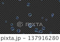 下から舞い上がりはじめる青色の小さいシャボン玉 アルファチャンネル　4K動画 137916280