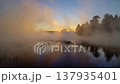Misty Lake Sunrise Through Pine Trees with Golden Light Reflection. 137935401