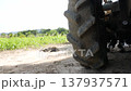 Small agricultural tractor stands on a dirt road with open field grass and sky forming a rural 137937571