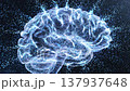 Digital brain visualization with glowing light and particles motion 137937648
