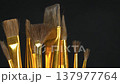 Brushes of different shapes for painting. Round and flat brushes on black background. Horse hair brushes in various sizes and shapes. Painting brushes with natural pony bristle 137977764