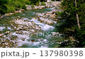 The frothy stream of the mountain stream 137980398
