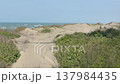 Windy sandy beach dunes with crashing ocean waves and sea horizon under clear blue sky. 137984435