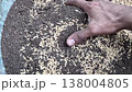 Mixing organic neem khali fertilizer and rice grains by hand before Sowing. Agriculture Farming business concept. Mixing organic neem khali fertilizer and rice grains by hand before Sowing. Agriculture Farming business concept. 138004805