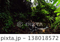 Small stream with rocks and flowing water surrounded by dense tropical vegetation. Baslay, Negros, Philippines. 138018572