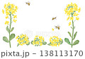 Spring frame illustration of rapeseed flowers and bees (looping animation) 138113170