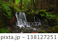 若狹吹瀑布，日本百大名水之一，位於福井縣若狹町：4K慢動作 - 翠綠的苔蘚和清澈的溪流 138127251