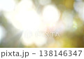 Defocused bokeh sunny nature abstract background, sun light with blurred leaves 138146347