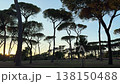 sunset in Villa Doria Pamphilj Park, Rome, Italy 138150488