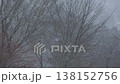 Slow-motion footage of snow falling in a winter forest (01) 138152756