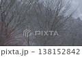 60fps background footage of a winter forest with falling snow. 138152842