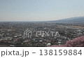 在俯瞰城市的山丘上欣賞櫻花 2 138159884