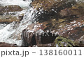 來自山上的純水 1 138160011