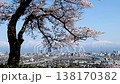 Views of the snow-capped Northern Alps, a southbound Hokuriku Shinkansen train, and the city of Toyama from the Kurehayama Observatory, where the cherry blossoms are in full bloom. 138170382