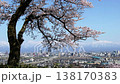 From the Kurehayama Observatory, where the cherry blossoms are in full bloom, you can see the snow-capped Northern Alps, an eastbound Hokuriku Shinkansen train, and the city of Toyama. 138170383