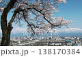 View of the snow-capped Northern Alps and the city of Toyama from the Kurehayama Observatory, where the cherry blossoms are in full bloom. 138170384