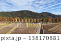 Aerial view of the metasequoia tree-lined street and cityscape in autumn. 138170881