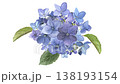 A looping video of a bouquet of blue hydrangeas swaying in the wind and falling petals. 138193154