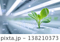 The digital green concept symbolizes a sustainable future and technological growth. 138210373