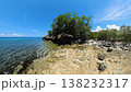 Rocky cove with trees along the shore and transparent sea water. Turtle Island. Negros, Philippines. 138232317
