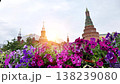 Moscow cityscape with colorful petunias in bloom and sun shining on historic architecture 138239080