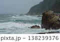 Waves of the East Sea crash against the breakwater and rocky shore, South Korea 138239376