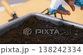 Hand spraying water on soil in a tray for gardening or planting 138242334