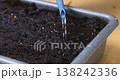 Close-up of water being poured into soil in a rectangular container 138242336