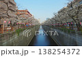 櫻花盛開時目黑川沿岸的風景影片。 138254372