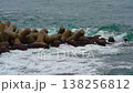 Waves of the East Sea crash against the breakwater and rocky shore, South Korea 138256812