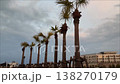 ヤシの木 138270179