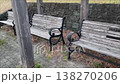 古びたベンチ 138270206