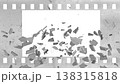 Dusty And Scratches Old Filmstrip Breaking Into Small Pieces 138315818
