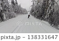 Skier Gliding Down a Beautiful Snow-Covered Slope Through a Winter Forest with Fresh Snow 138331647
