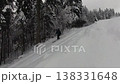 Thrilling Off-Piste Freeride Skiing Through a Fresh Deep Powder Snow Forest 138331648