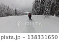 Freeride Skier Gliding Through Fresh Deep Powder Snow in a Serene Winter Forest 138331650