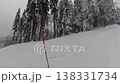 Skier Enjoying Freeride Off-Piste in Deep Powder Snow Through a Beautiful Winter Forest 138331734